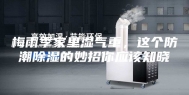 梅雨季家里湿气重，这个防潮除湿的妙招你应该知晓