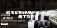 除湿机原理是什么 除湿机工作方式