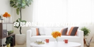 奇妙的除湿机作文400字