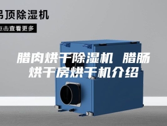 行业新闻腊肉烘干除湿机 腊肠烘干房烘干机介绍