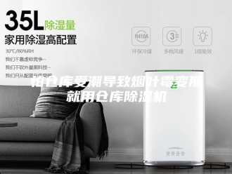 行业新闻怕仓库受潮导致烟叶霉变那就用仓库除湿机