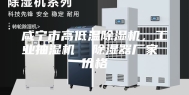咸宁市高低温除湿机，工业抽湿机  除湿器厂家 价格