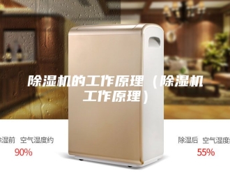 企业新闻除湿机的工作原理（除湿机工作原理）