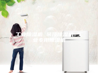 行业新闻工业除湿机 吊顶除湿机 工业专用除湿机