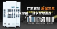 深圳工业除湿机  地下室除湿器厂家