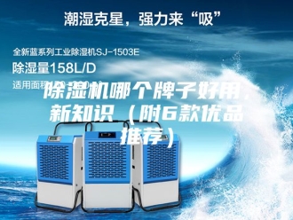 企业新闻除湿机哪个牌子好用，新知识（附6款优品推荐）