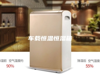 常见问题车载恒温恒湿箱