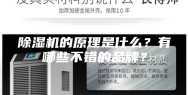 除湿机的原理是什么？有哪些不错的品牌？