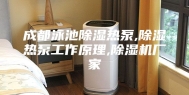 成都泳池除湿热泵,除湿热泵工作原理,除湿机厂家