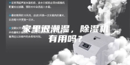 家里很潮湿，除湿机有用吗？