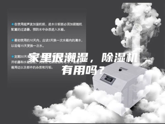 行业新闻家里很潮湿，除湿机有用吗？