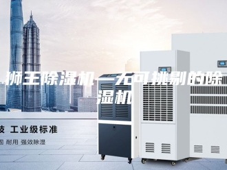 行业新闻狮王除湿机—无可挑剔的除湿机